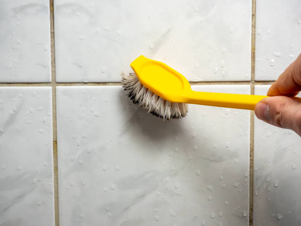 Best Office Mold Removal Services  in West Alexandria, OH