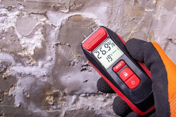 Best Water Damage Restoration  in West Alexandria, OH